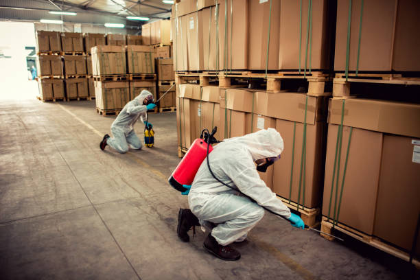 Best Pest Inspection Near Me  in Mount Hope, NJ