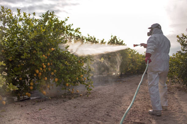  Mount Hope, NJ Pest Control Pros