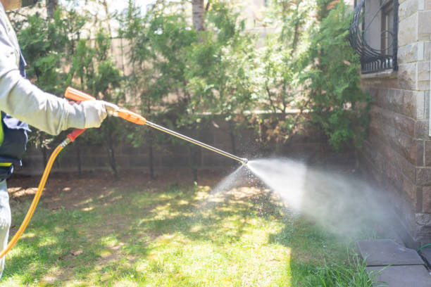 Best Flea Control Services  in Mount Hope, NJ