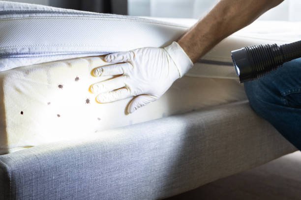 Pest Prevention Services in Mount Hope, NJ