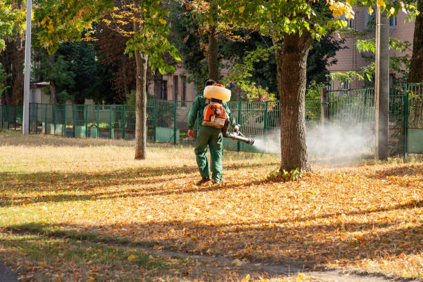 Best Pest Control Near Me in Mount Hope, NJ