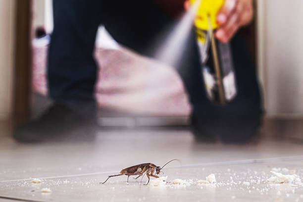 Pest Control Cost in Mount Hope, NJ