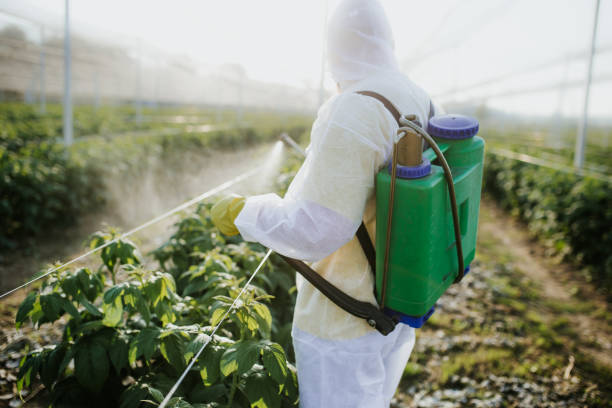 Best Wasp Removal Services  in Mount Hope, NJ